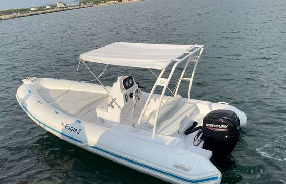 RIB Eagle Eagle2 40hp