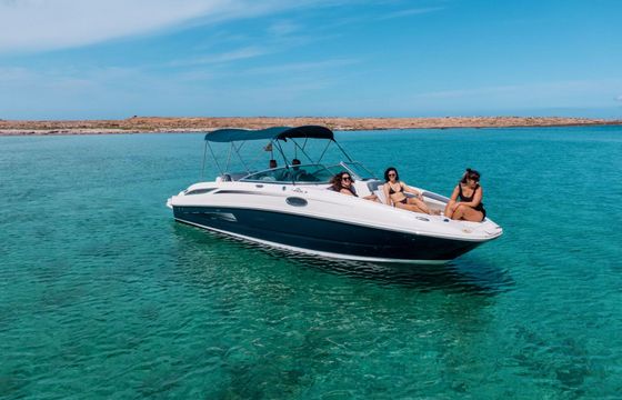 Motorboat Sea Ray 260 350hp