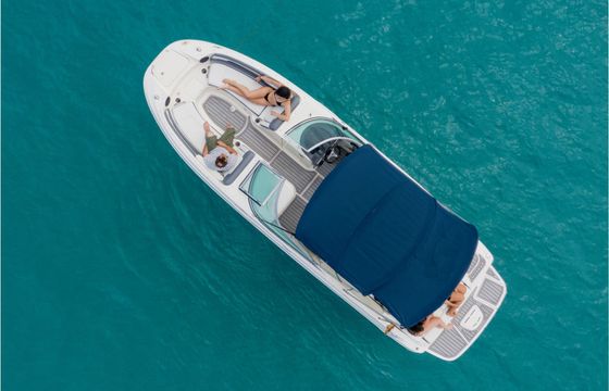 Motorboat Sea Ray 260 350hp