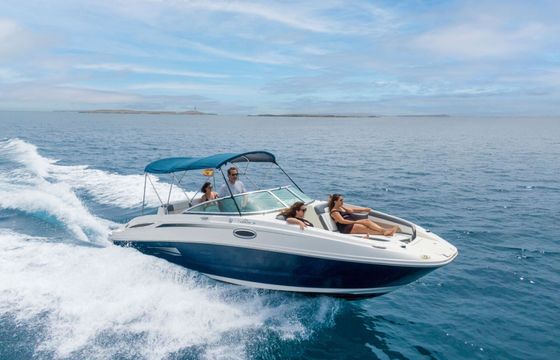 Motorboat Sea Ray 260 350hp