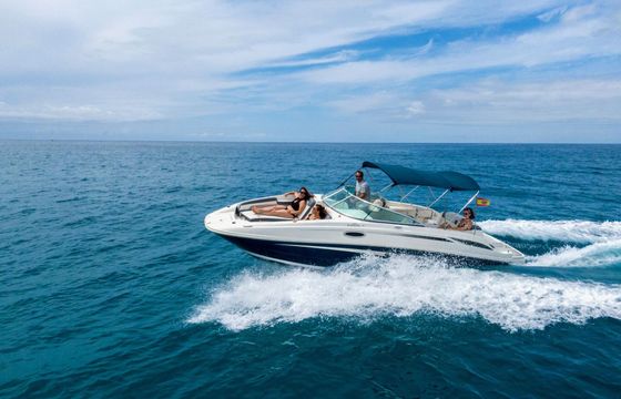 Motorboat Sea Ray 260 350hp