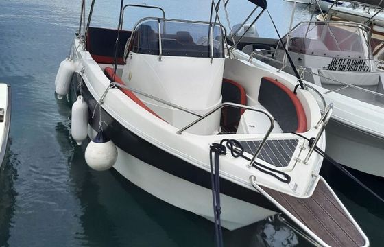 Motorboat PL Baracuda 545 115hp