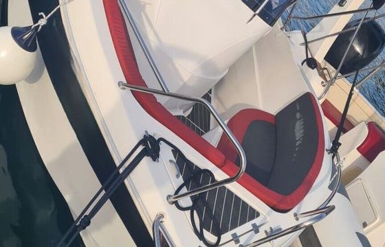 Motorboat PL Baracuda 545 115hp