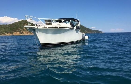 Motorboat Bertram 38 Special 860hp