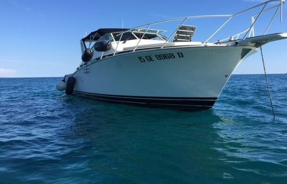 Motorboat Bertram 38 Special 860hp