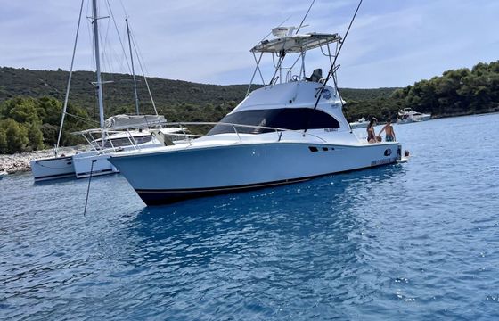 Motorboat Luhrs Fishing Charter Private rentals &amp; Fishing tours 740hp
