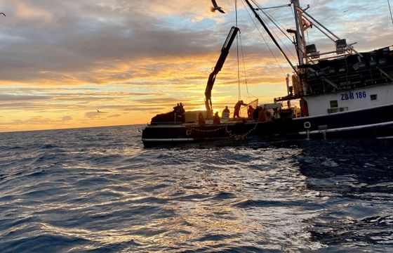 Motorboat Luhrs Fishing Charter Private rentals &amp; Fishing tours 740hp