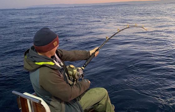 Motorboat Luhrs Fishing Charter Private rentals &amp; Fishing tours 740hp
