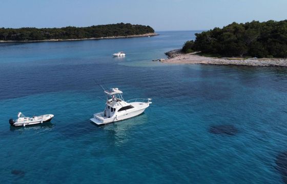 Motorboat Luhrs Fishing Charter Private rentals &amp; Fishing tours 740hp