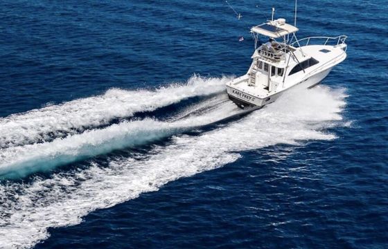 Motorboat Luhrs Fishing Charter Private rentals &amp; Fishing tours 740hp