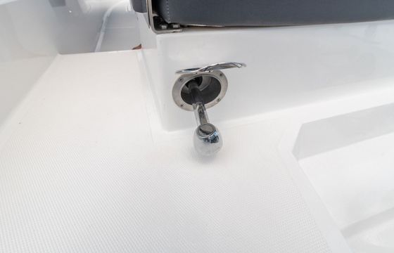 Motorboat Protagon 25 Space 250hp