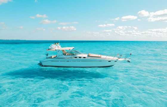 Motor yacht Sea Ray Sundancer 43