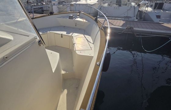 Motorboat REHA MARINE REHA MARINE 23 OPEN 150hp