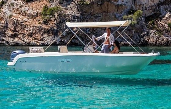 Motorboat INVICTUS 190 FX 115hp