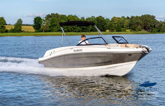Motorboat Bayliner VR6E 250hp