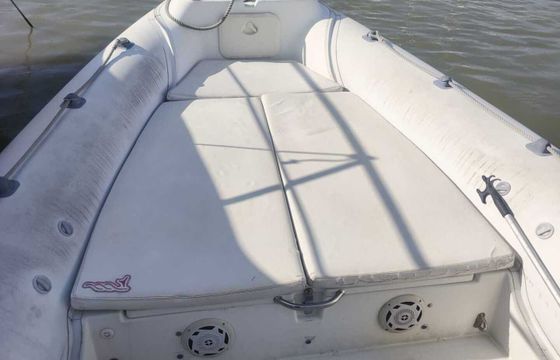 RIB MV 780 250hp