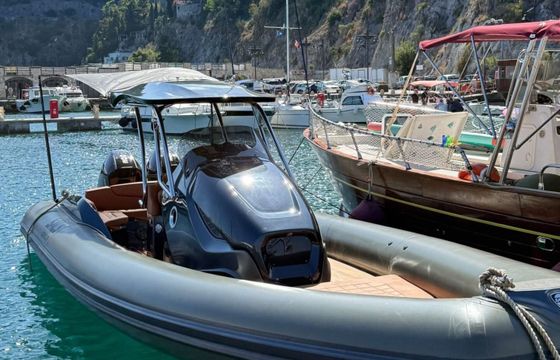 Motorboat Sacs Marine Strider 10 600hp