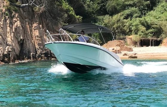 Motorboat Marion 730 200hp