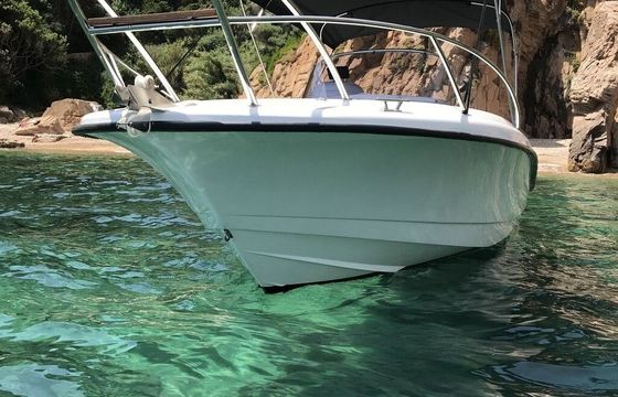 Motorboat Marion 730 200hp