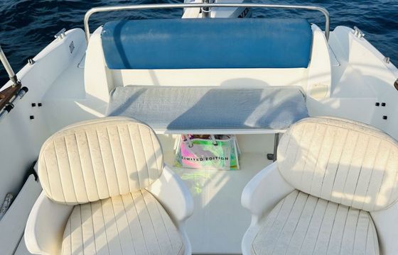Motorboat Beneteau Flyer 6.50 150hp