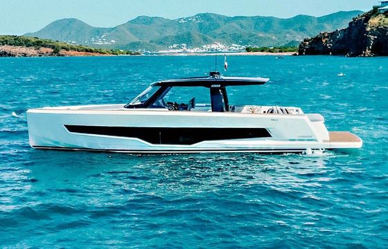 Motor yacht Fjord Blue Palm 53ft
