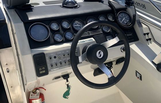 Motorboat Sunseeker Portofino 31 400hp