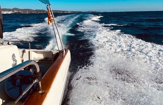 Motorboat Beneteau OMBRINE 960