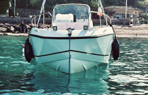 Motorboat Quicksilver Activ 555 Open 115hp