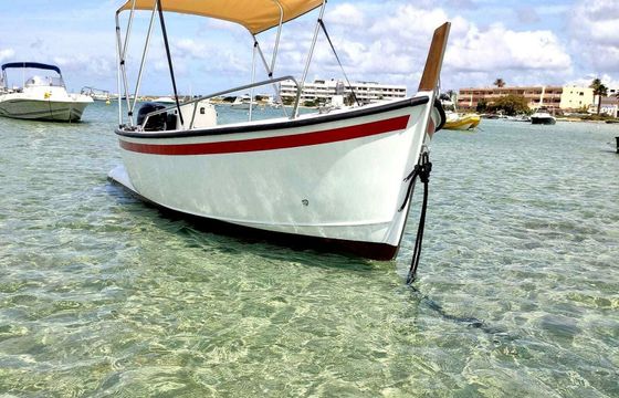 Boat without licence  pr mare gozzo 5 terre 15hp