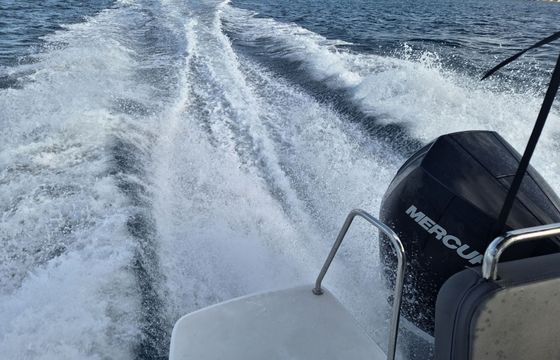 Motorboat Beneteau Antares 8 300hp