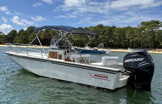 Motorboat Boston Whaler Outrage 22 225hp