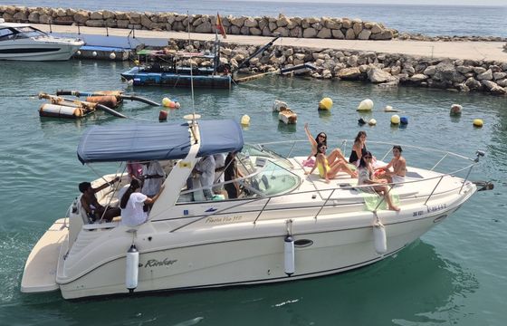 Motorboat RINKER FIESTA VEE 310 520hp