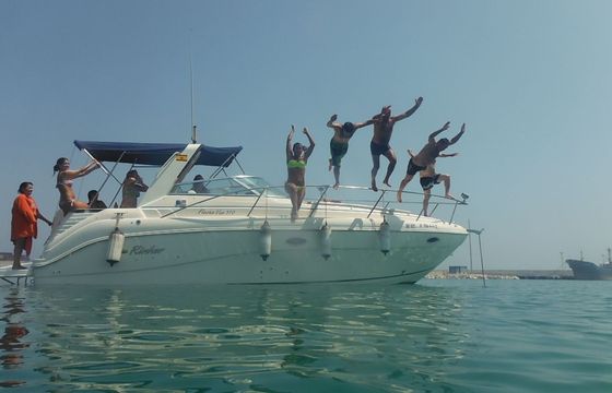 Motorboat RINKER FIESTA VEE 310 520hp