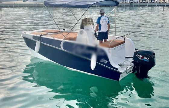 Boat without licence BARCO PRIVADO PARA AVISTAMIENTO DE DELFINES 15hp