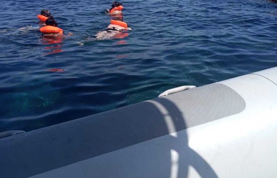 RIB PORTUGUESA SEA RIBS 620 OPEN 115hp