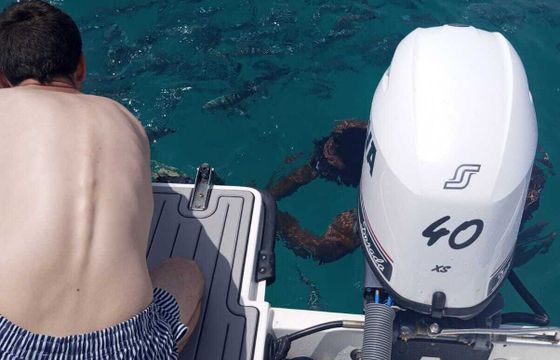 RIB PORTUGUESA SEA RIBS 620 OPEN 115hp