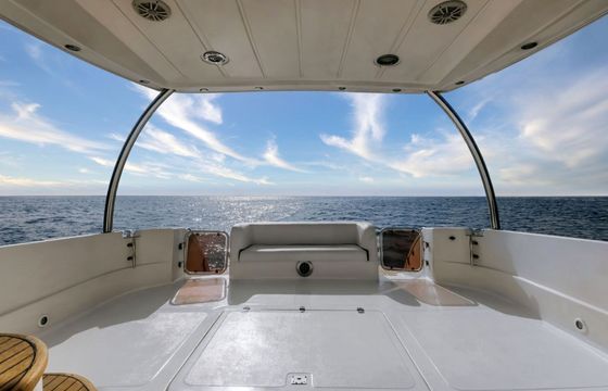 Motorboat Sea Master 1