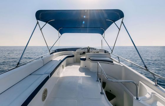 Motorboat Sea Master 1