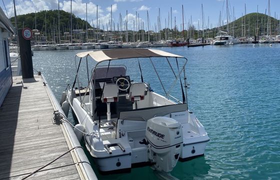 Motorboat Beneteau Flyer 6.6 200hp