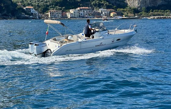 Motorboat Mingolla Brava 26 WA 300hp