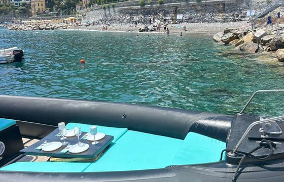 RIB Novamarine Mano Marine 300hp