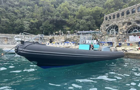 RIB Novamarine Mano Marine 300hp