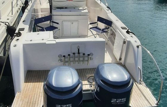 Motorboat Proline 30 Sport 450hp