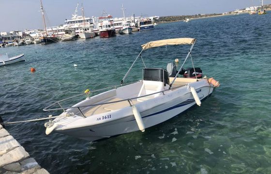 Boat without licence  RANIERI 5 30hp