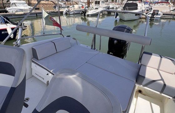 Motorboat Beneteau Flyer 6.6 200hp