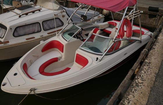 Motorboat Sea Ray 205 Sport 250hp