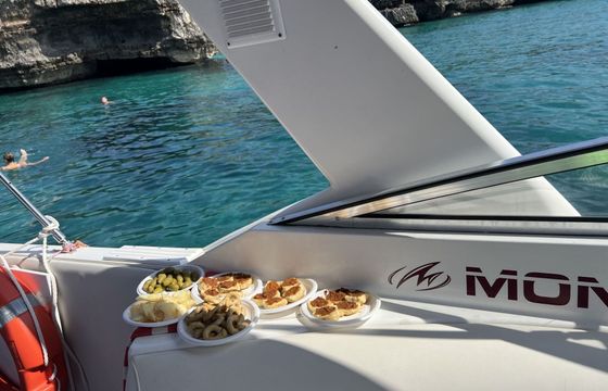 Motorboat Monterey 800 140hp
