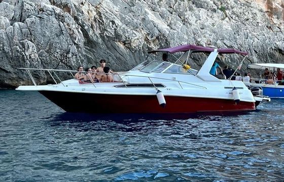 Motorboat Monterey 800 140hp