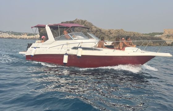 Motorboat Monterey 800 140hp