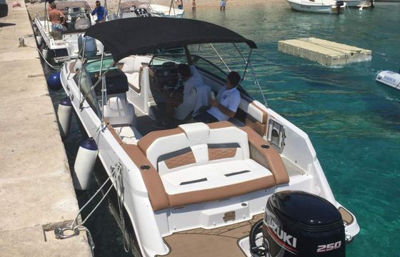 Motorboat FOUR WINNS 240OB 250hp